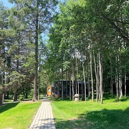 Forest, Daire *