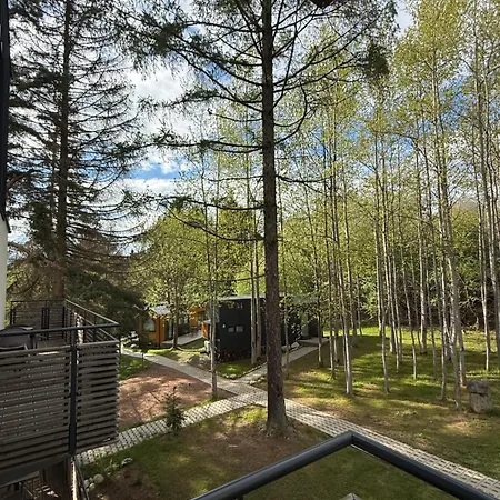 Daire Forest, Tatranska Strba